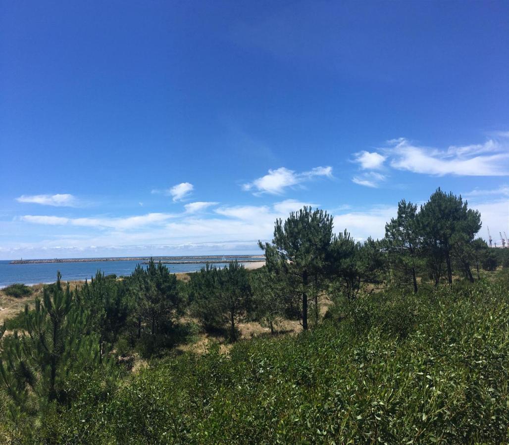 Cabedelo Beach Apartment Viana do Castelo Buitenkant foto